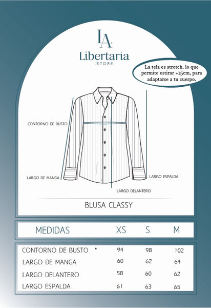 BLUSA CLASSY LISTADO GRIS